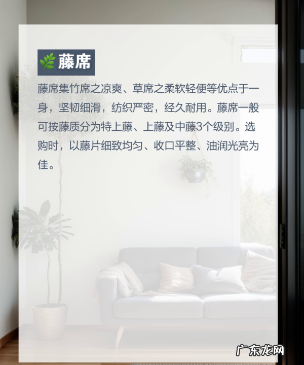 怎样挑选好的竹席,乳胶床垫的选购技巧及注意事项