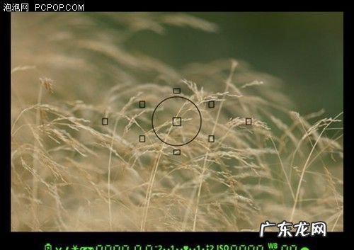 九个对焦点怎么用,佳能700d怎么调整对焦点