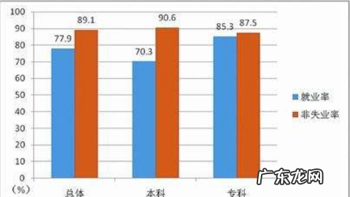 本科和专科的区别,本科和专科的区别是什么 哪个更好