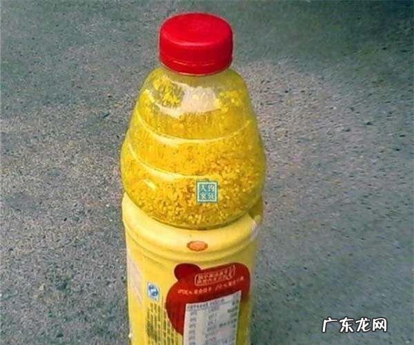鸡蛋可以钓鱼,生鸡蛋拌商品饵好钓鱼