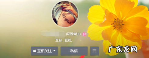 微博怎么设置悄悄关注,微博怎么悄悄关注