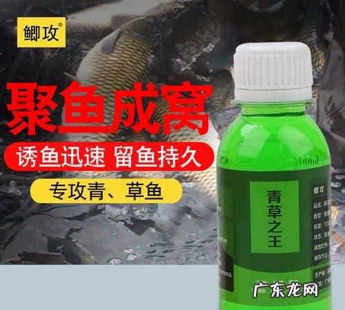 钓草鱼饵料配方,野钓草鱼饵料配方大全饵料对了口大鱼才会跟着走