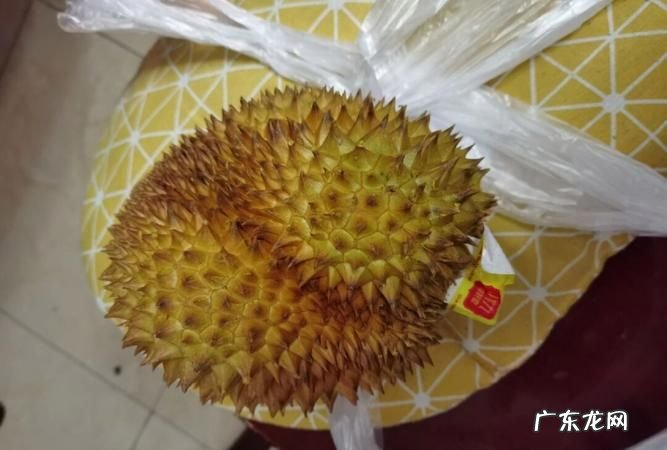 榴莲没熟怎么办,榴莲没熟打开了怎么办怎样能快速熟