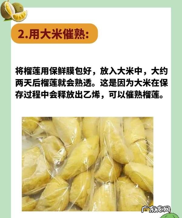 榴莲没熟怎么办,榴莲没熟打开了怎么办怎样能快速熟