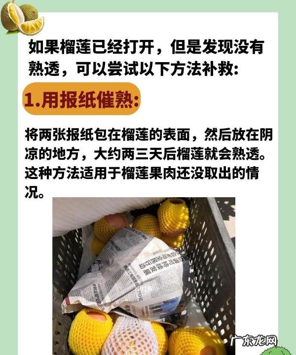 榴莲没熟怎么办,榴莲没熟打开了怎么办怎样能快速熟