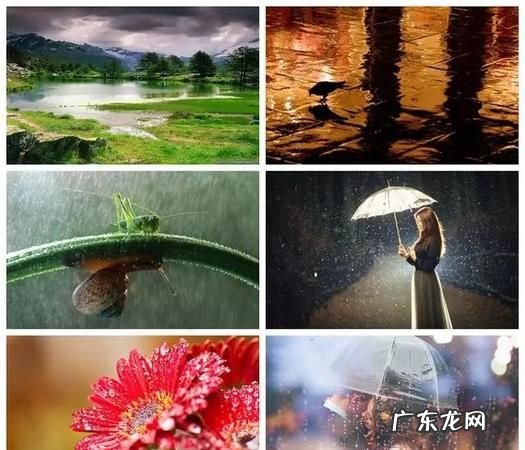 下雨天知道往家里跑是什么梗,女生问男生喜欢什么样的男生回答下雨会往家跑什么意思