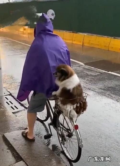 下雨天知道往家里跑是什么梗,女生问男生喜欢什么样的男生回答下雨会往家跑什么意思