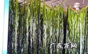 盐渍海带怎么泡发,超市里买来的海带丝上面带盐怎么洗怎么个做法