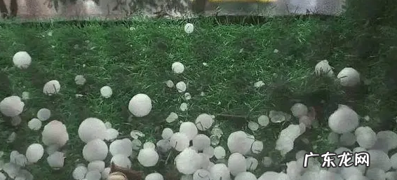冰雹是怎样形成的,冰雹是怎样形成的