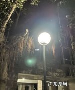 iphone拍摄有光斑,苹果手机拍月亮有一个光点