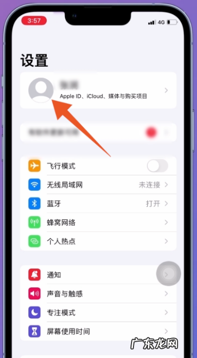 苹果手机iphone 设置页取消订阅服务在哪里,苹果的订阅服务在哪里取消