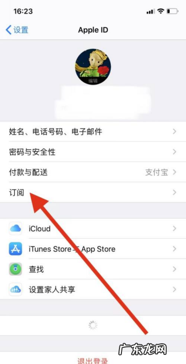 苹果手机iphone 设置页取消订阅服务在哪里,苹果的订阅服务在哪里取消