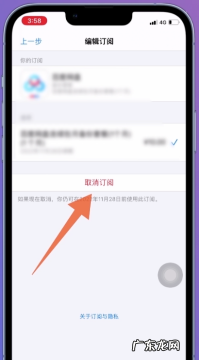 苹果手机iphone 设置页取消订阅服务在哪里,苹果的订阅服务在哪里取消