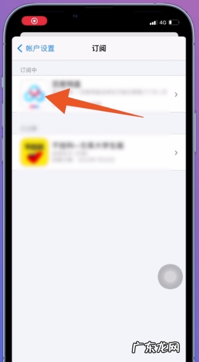 苹果手机iphone 设置页取消订阅服务在哪里,苹果的订阅服务在哪里取消