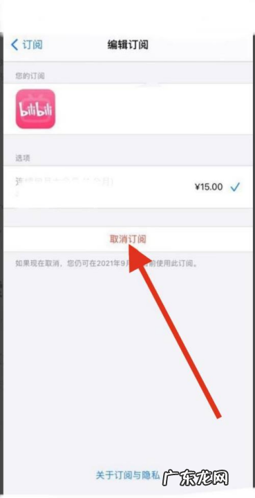 苹果手机iphone 设置页取消订阅服务在哪里,苹果的订阅服务在哪里取消