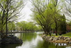 2470镜头适合拍什么,佳能2470镜头适合拍什么