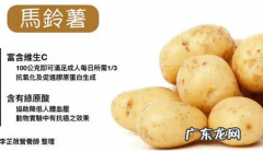 土豆的成分含量表,土豆的主要营养成分是什么