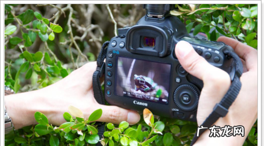 数码相机淘汰了吗？,数码相机日渐衰退怎样的产品替代了数码相机