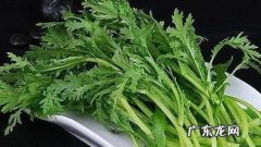 什么人不能吃茼蒿,什么人不能吃茼蒿菜的作用与功效