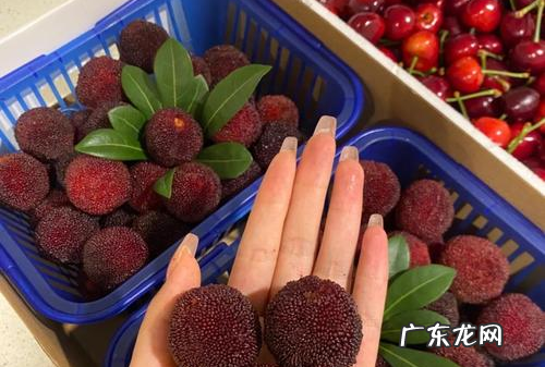 杨梅怎么清洗,杨梅怎么清洗