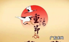 重阳节的来历和风俗简介,重阳节的来历以及风俗