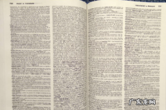 dictionary英语怎么读,词典的英语怎么读