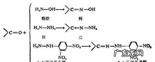 醛类物质是什么,醛是由什么和什么构成的化合物