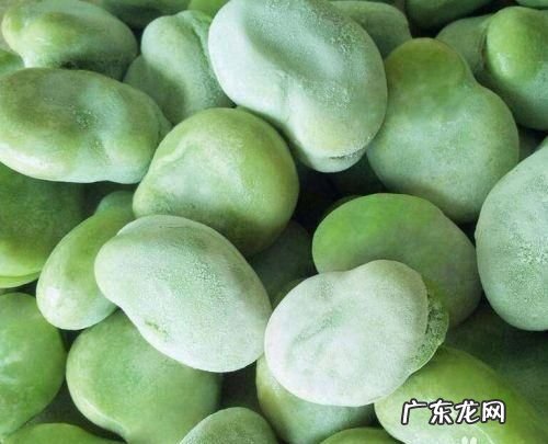 新鲜蚕豆怎样放冰箱保存,新鲜蚕豆怎样保存时间长