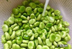 新鲜蚕豆怎样放冰箱保存,新鲜蚕豆怎样保存时间长