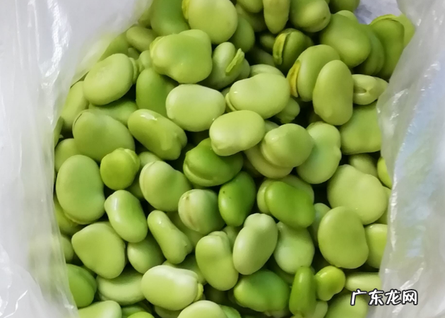 新鲜蚕豆怎样放冰箱保存,新鲜蚕豆怎样保存时间长