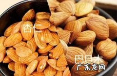 巴旦木和杏仁的区别,巴旦木和杏仁的区别