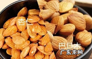 巴旦木和杏仁的区别,巴旦木和杏仁的区别