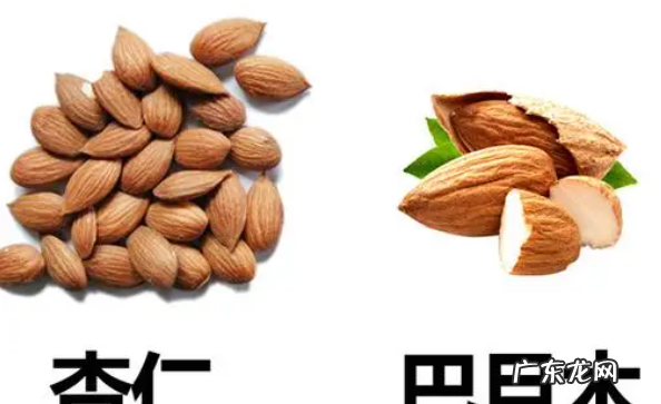 巴旦木和杏仁的区别,巴旦木和杏仁的区别