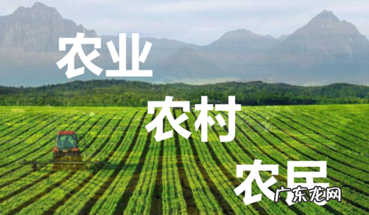 三农是指的哪三农,三农指的什么