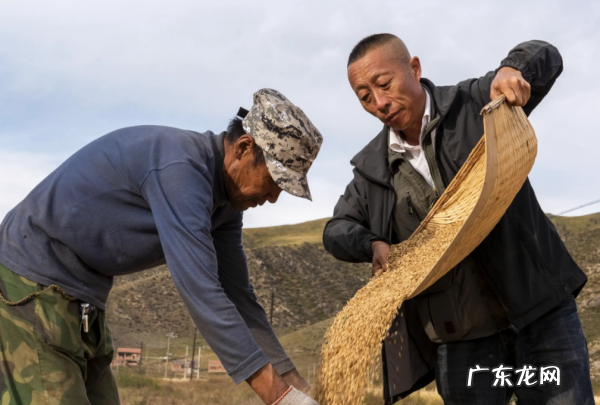 三农是指的哪三农,三农指的什么