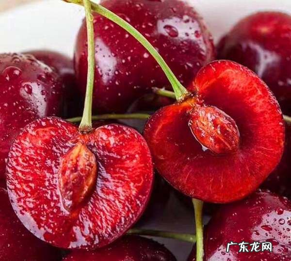 盐水泡樱桃有虫是真的吗?,车厘子用水一泡就钻出很多小虫子这些虫子能吃