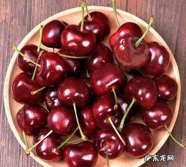 盐水泡樱桃有虫是真的吗?,车厘子用水一泡就钻出很多小虫子这些虫子能吃