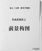 怎么拍前景虚化效果,摄影前景式构图