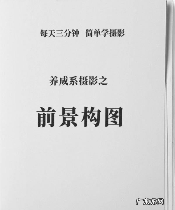 怎么拍前景虚化效果,摄影前景式构图