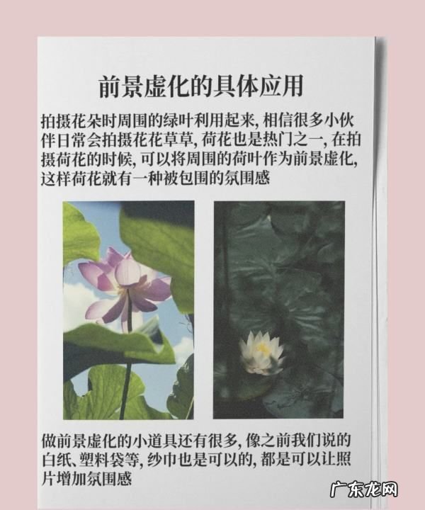 怎么拍前景虚化效果,摄影前景式构图