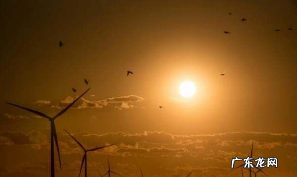 如何拍摄逆光照片 简答题,逆光拍照也清晰 逆光拍摄技巧介绍