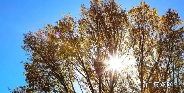 如何拍摄逆光照片 简答题,逆光拍照也清晰 逆光拍摄技巧介绍
