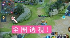 王者荣耀局内调色有什么用,《王者荣耀》中的红蓝buff小龙主宰各有什么用处
