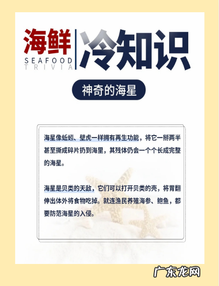 海星能吃,海星能吃怎么吃