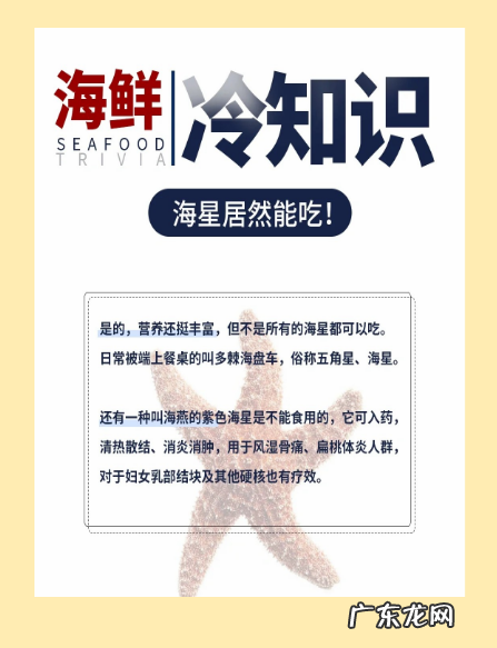 海星能吃,海星能吃怎么吃