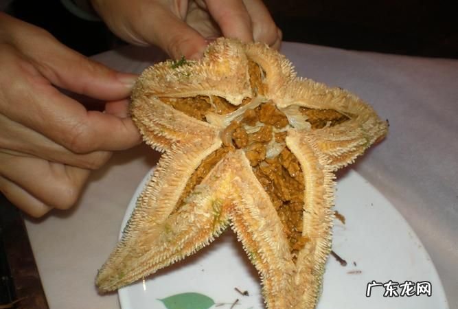 海星能吃,海星能吃怎么吃