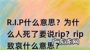 r i p什么梗,rip是什么梗