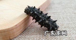干海参怎么保存,买来的干海参怎么保存最好