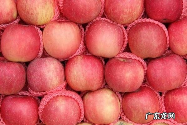 夏天苹果要不要放冰箱保鲜,夏天苹果放冰箱好还是常温保存好