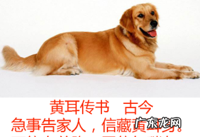 古人传递信息的方式有哪些,古人传递信息的方式有哪些
